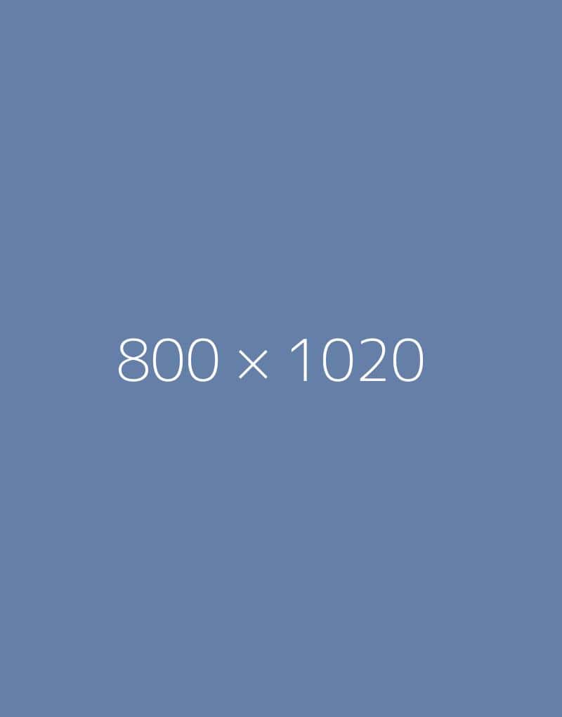 hongo 800x1020-a-ph